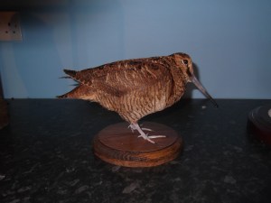 cnference 2016  2 002