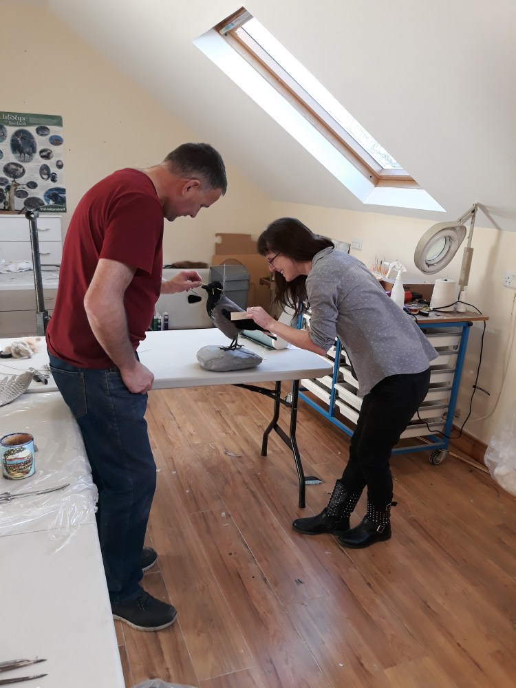 training taxidermy course jan.2018 248