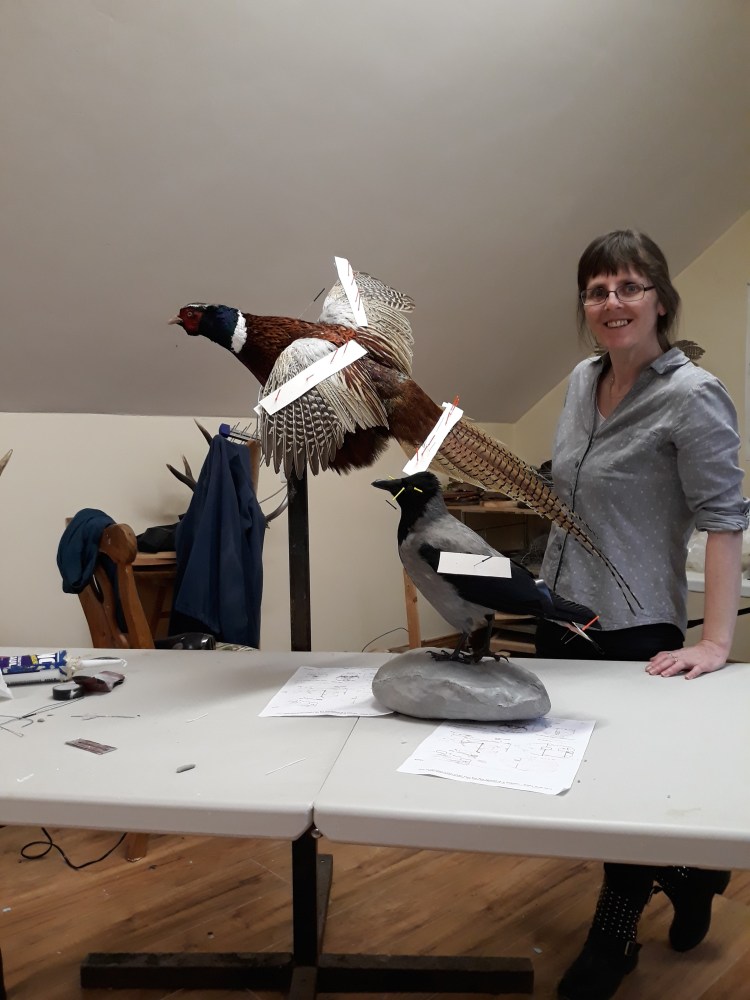 training taxidermy course jan.2018 263